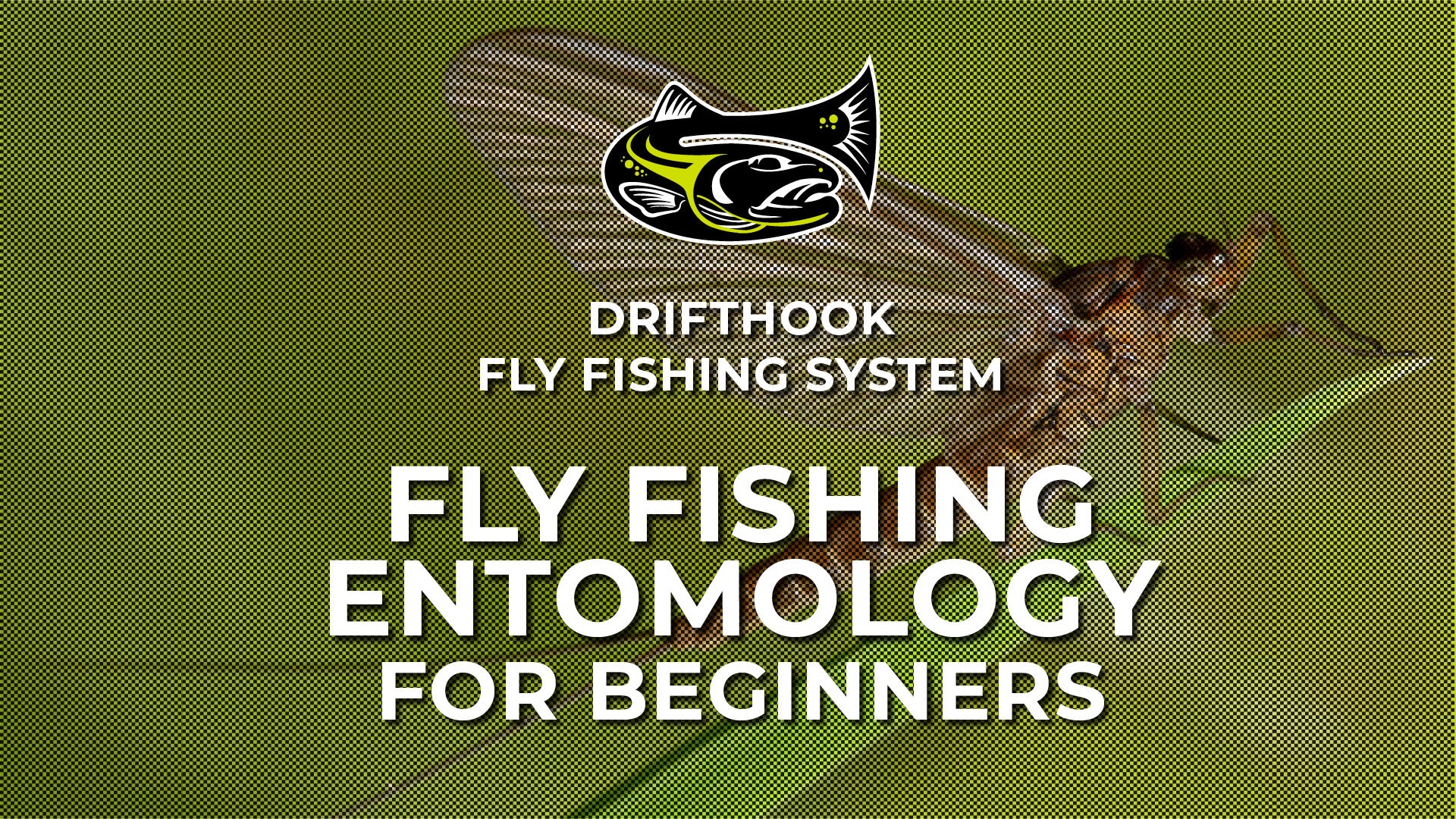 Fly Fishing Entomology for Beginners