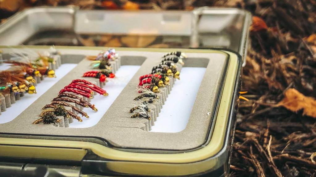 20 Top Trout Flies for Fall