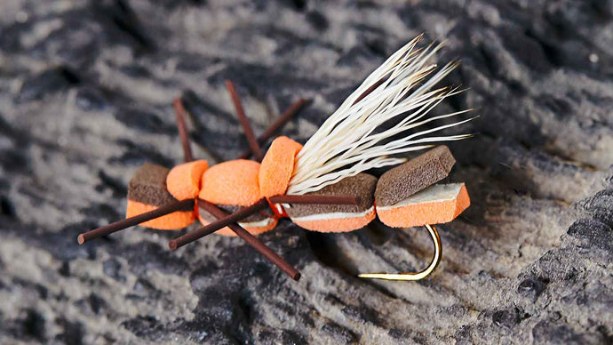 How to Fly Fish with Grasshoppers, a.k.a. Hoppers