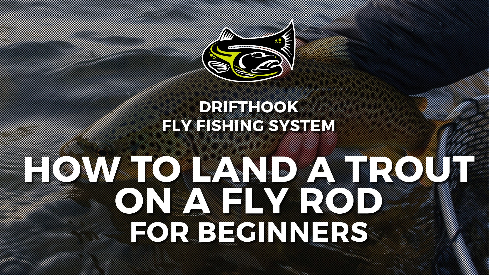 How to Land Trout on a Fly Rod for Beginners