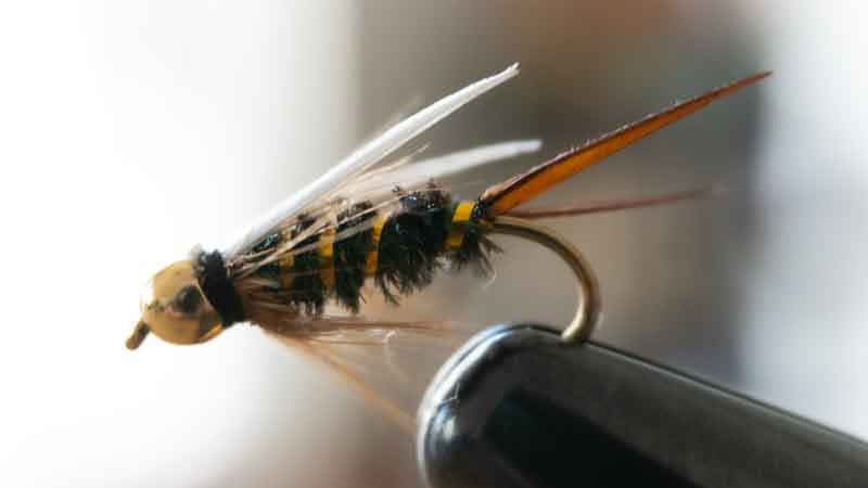 Bead Head Prince Nymph Fly Pattern (Tie, Fish, Catch)