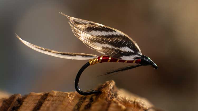 Is a Streamer a Wet Fly? - We Ask A Professional Fly Tier