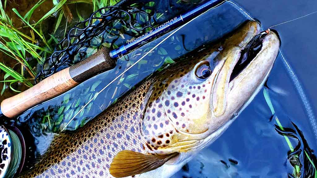 Fly Fishing Season in the US - Trout to Tarpon