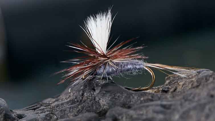 Early Season Dry Patterns That Consistently Produce