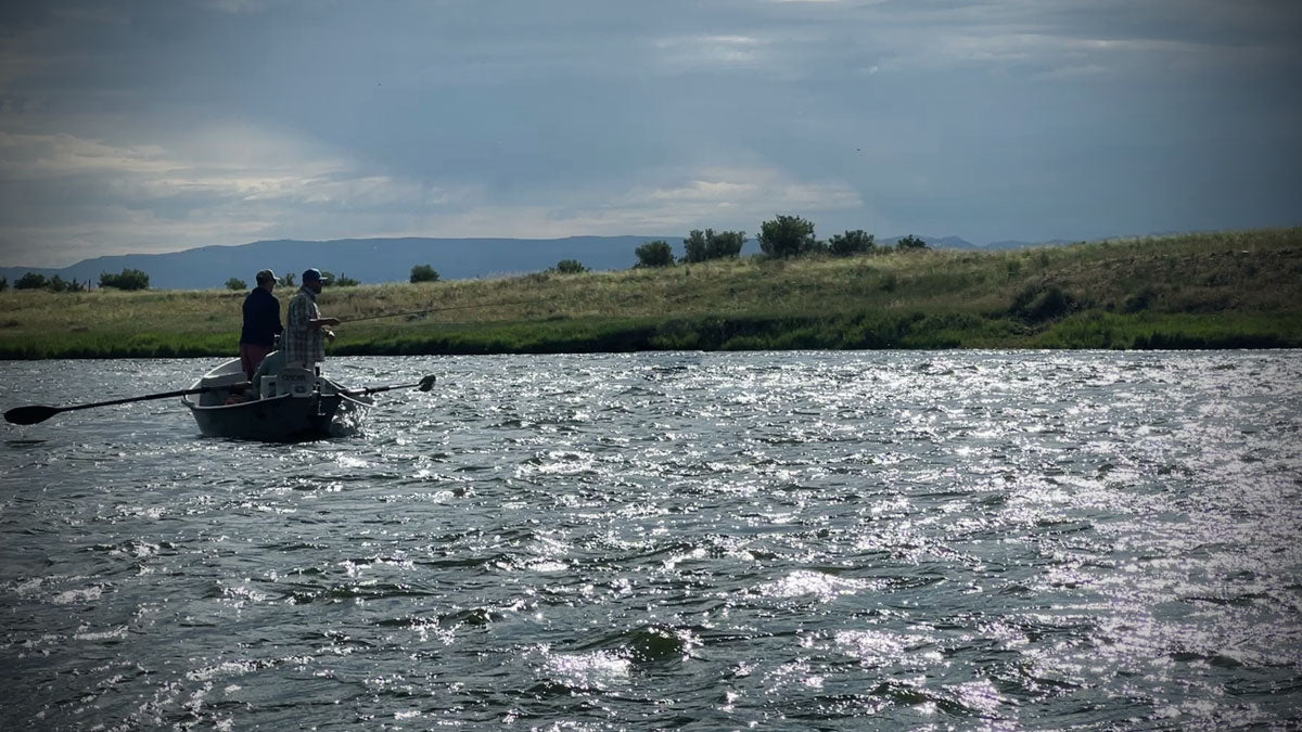 angler monitoring water temperature to predict an insect hatch