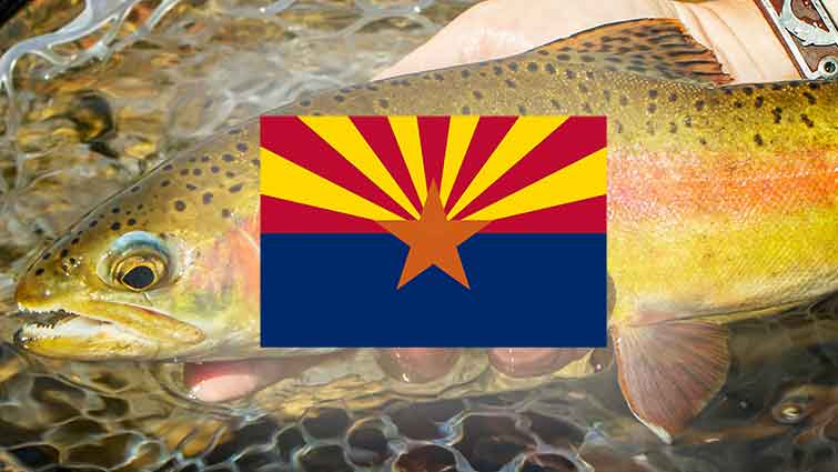 Top 14 Places to Fly Fish in Arizona - And What Flies to Use