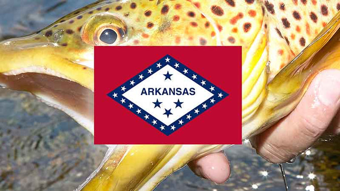 Top 17 Places to Fly Fish in Arkansas – And What Flies to Use