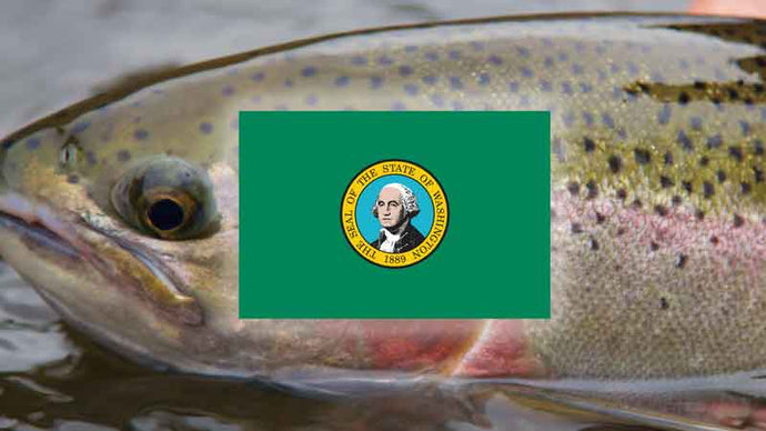 Top 18 Places to Fly Fish in Washington - And What Flies to Use