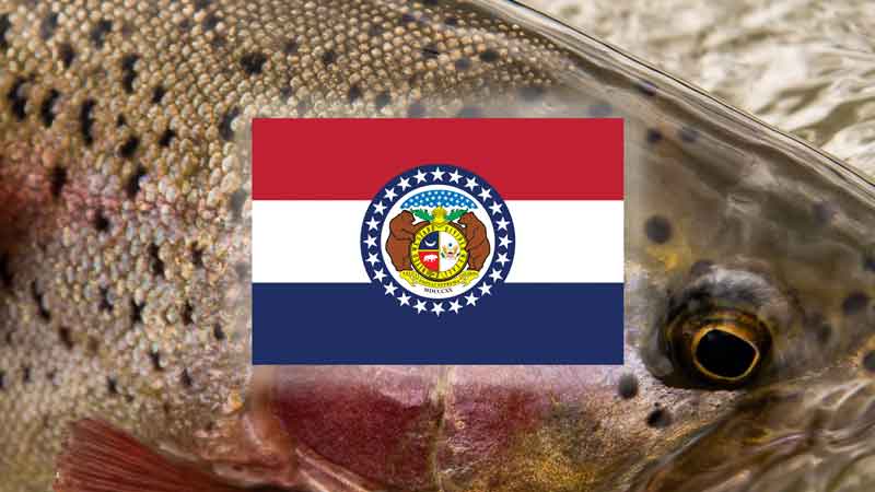 Top 20 Places to Fly Fish in Missouri – And What Flies to Use