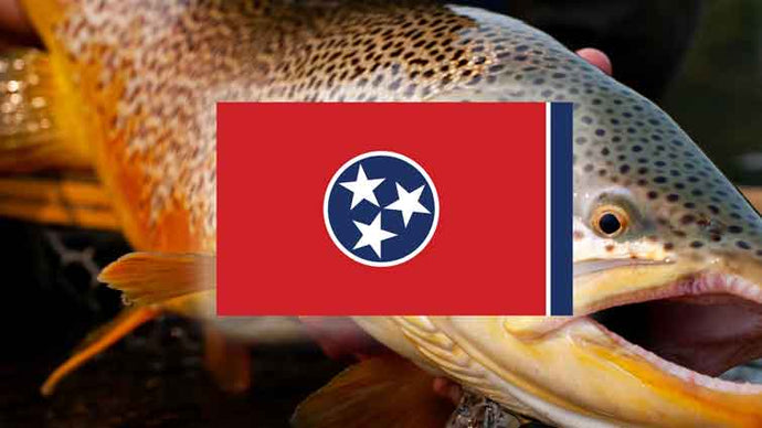 Top 21 Places to Fly Fish in Tennessee – And What Flies to Use