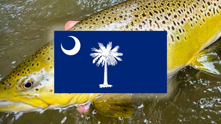 Top 12 Places to Fly Fish in South Carolina – And What Flies to Use