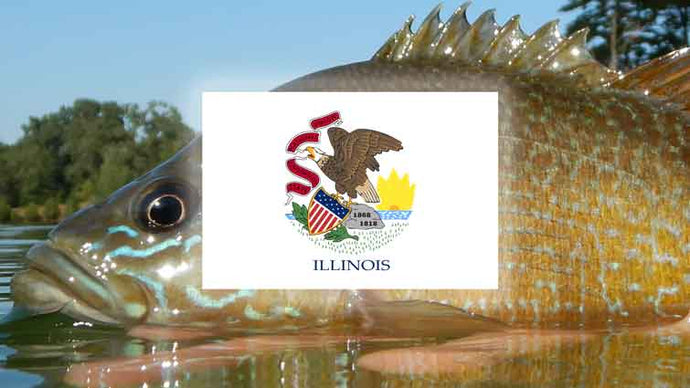 Top 19 Places to Fly Fish in Illinois - And What Flies to Use