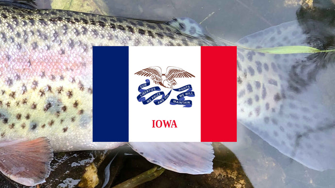 Top 20 Places to Fly Fish in Iowa – And What Flies to Use