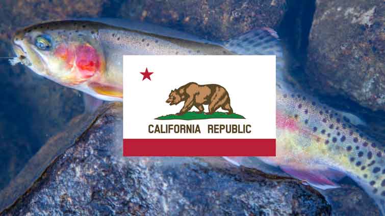 Top 27 Places to Fly Fish in California - And What Flies to Use
