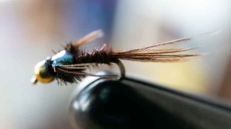 Ultimate Pheasant Tail Nymph Guide [Tie, Fish, Catch]