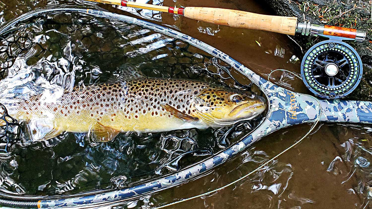 The Best Fly Lines For Trout