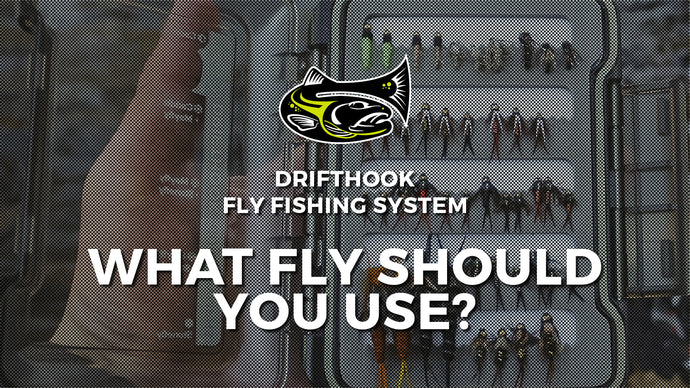 What Fly Pattern Should You Use?
