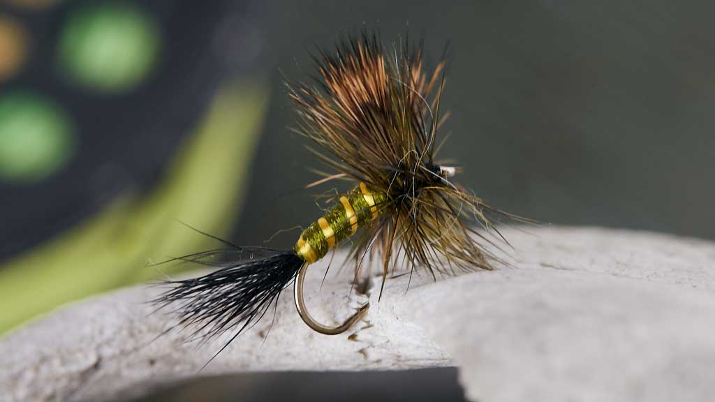 What Time of Day is Best for Dry Fly Fishing?