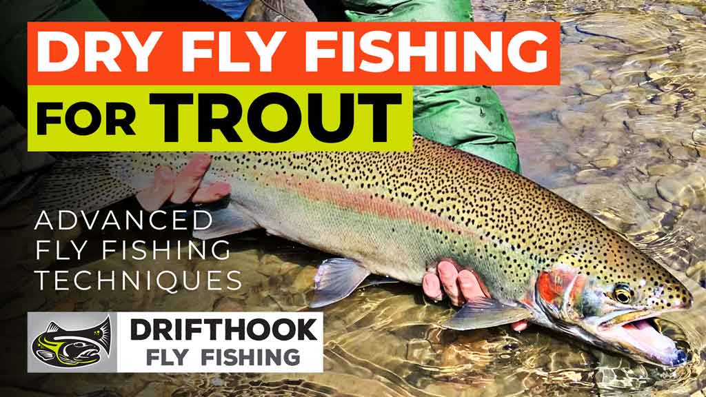 Dry Fly Fishing for Trout - Advanced Techniques and Setups