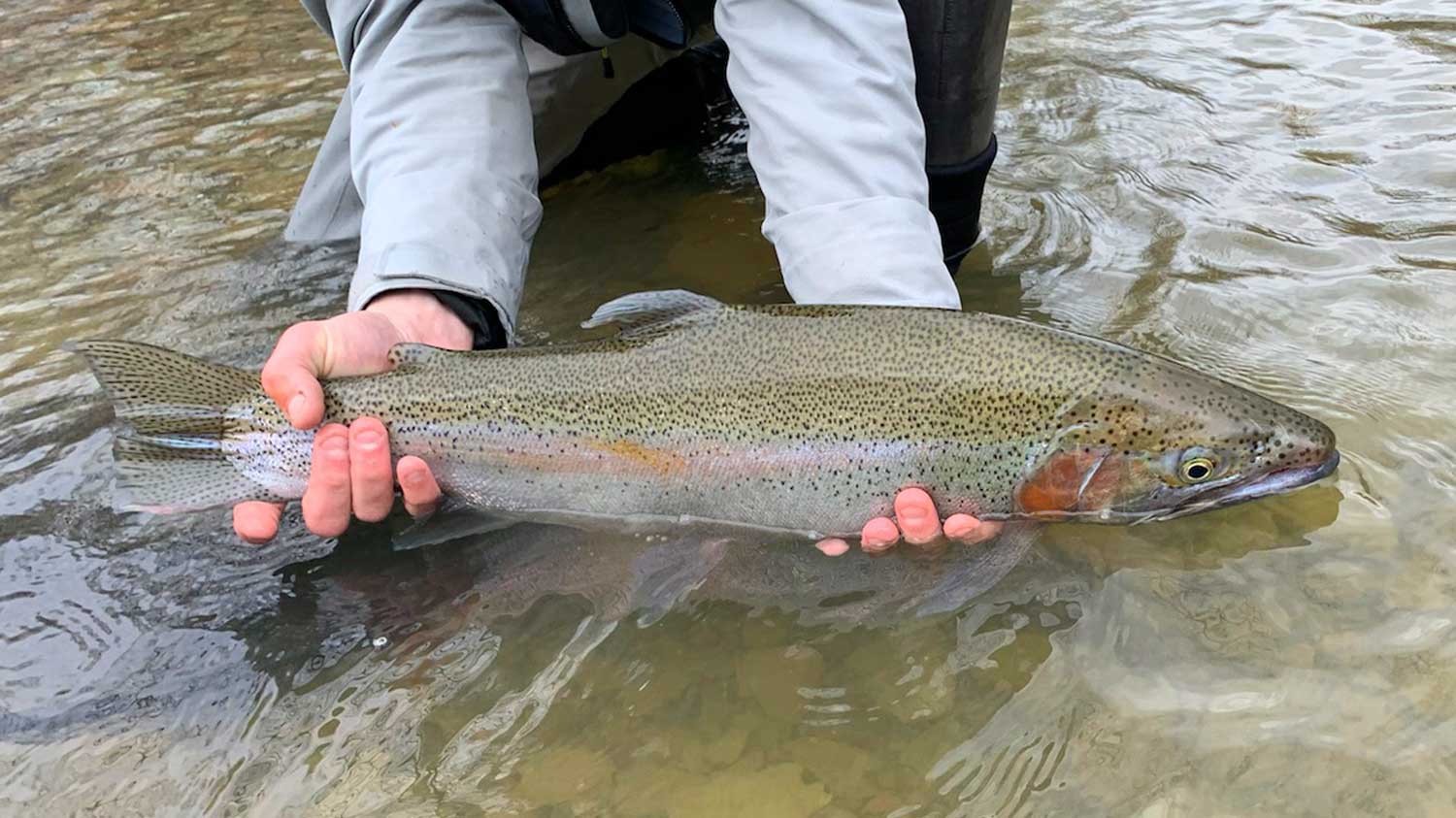 Is Fly Fishing Expensive?