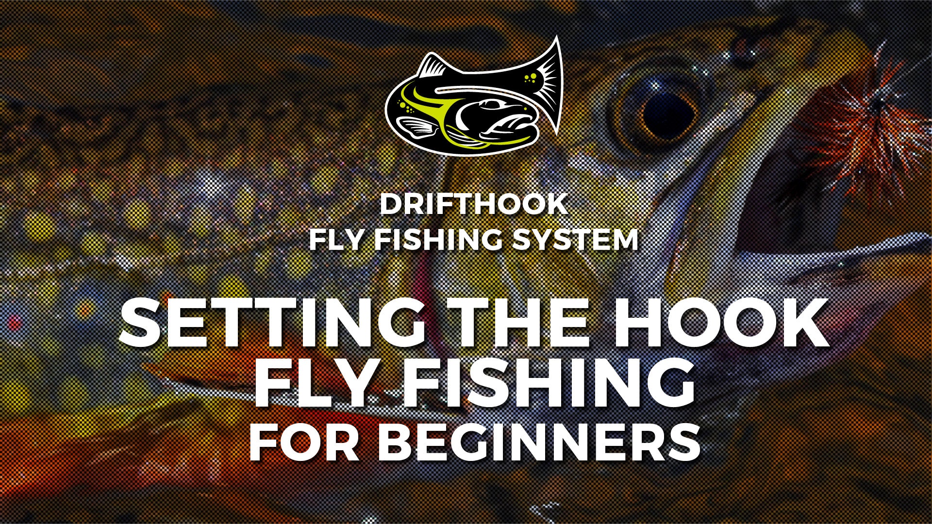 Setting the Hook - Fly Fishing for Beginners