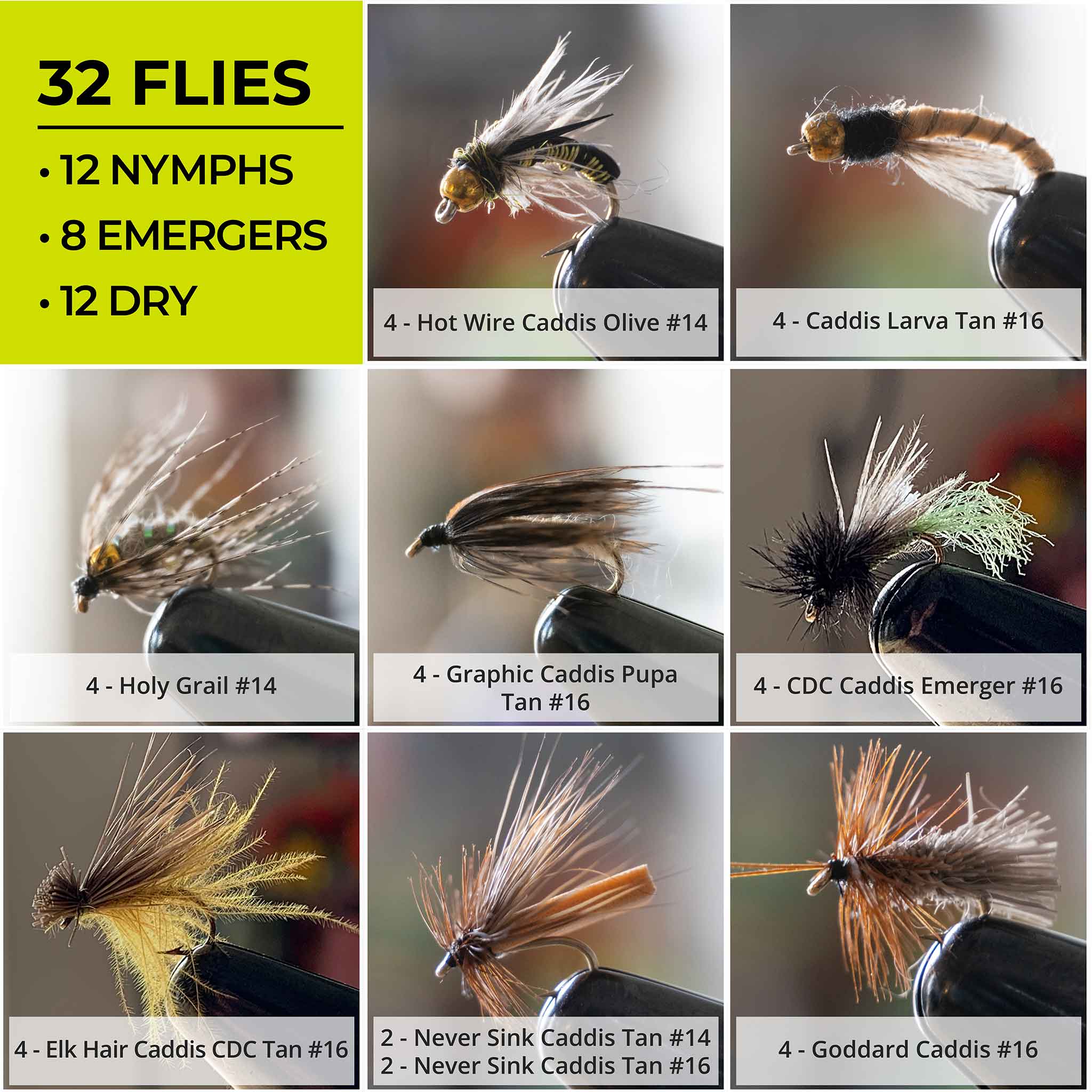 Caddis Life Cycle 32-Pack Fly Assortment