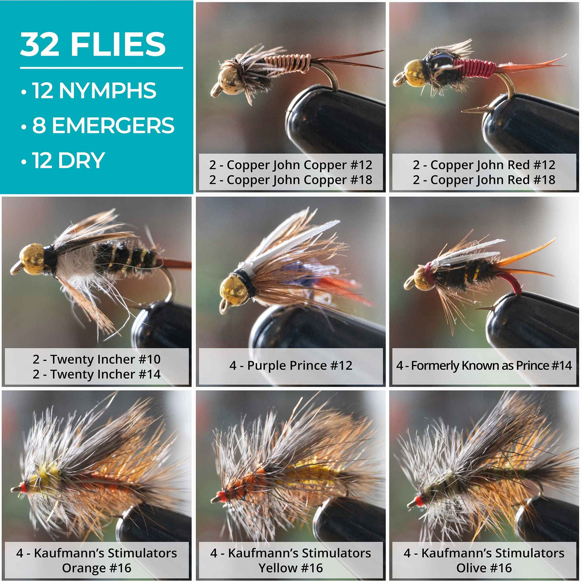 Spring Stonefly Stonefly Life Cycle Stoneflies Are Emerging: A Sure Sign Of Spring