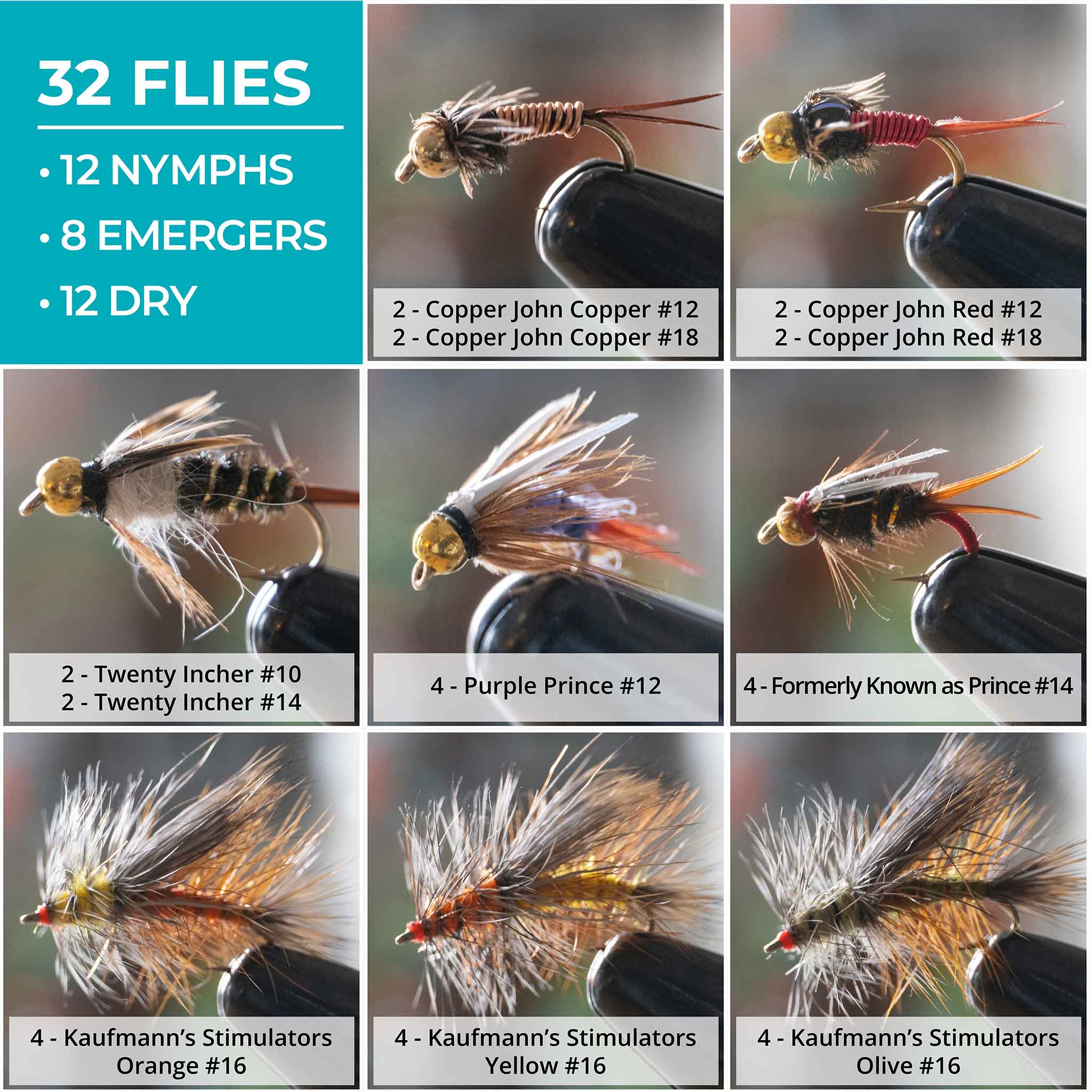 Stonefly Life Cycle 32-Pack Fly Assortment